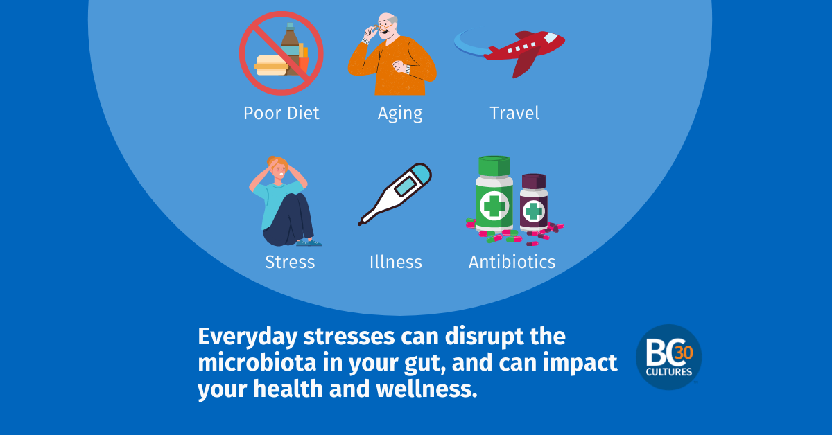 everyday stressors and probiotics