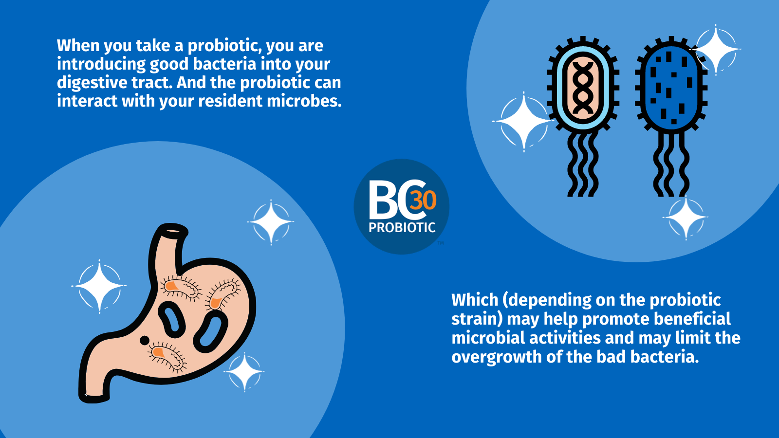 How probiotics work infographic